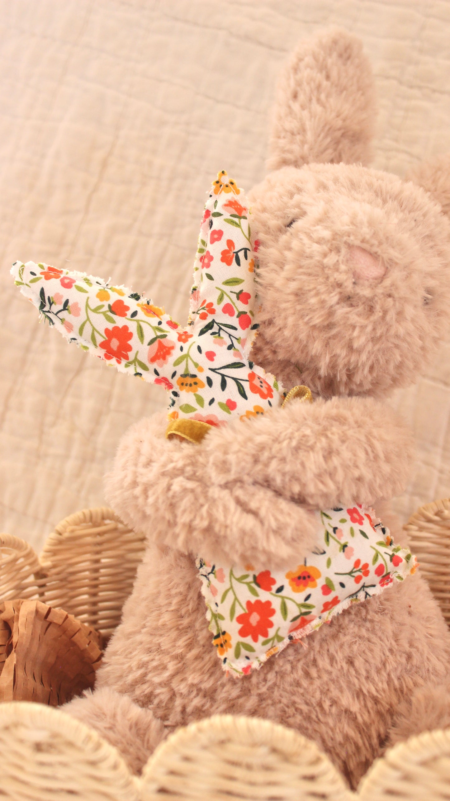 Bunny and Carrots Set