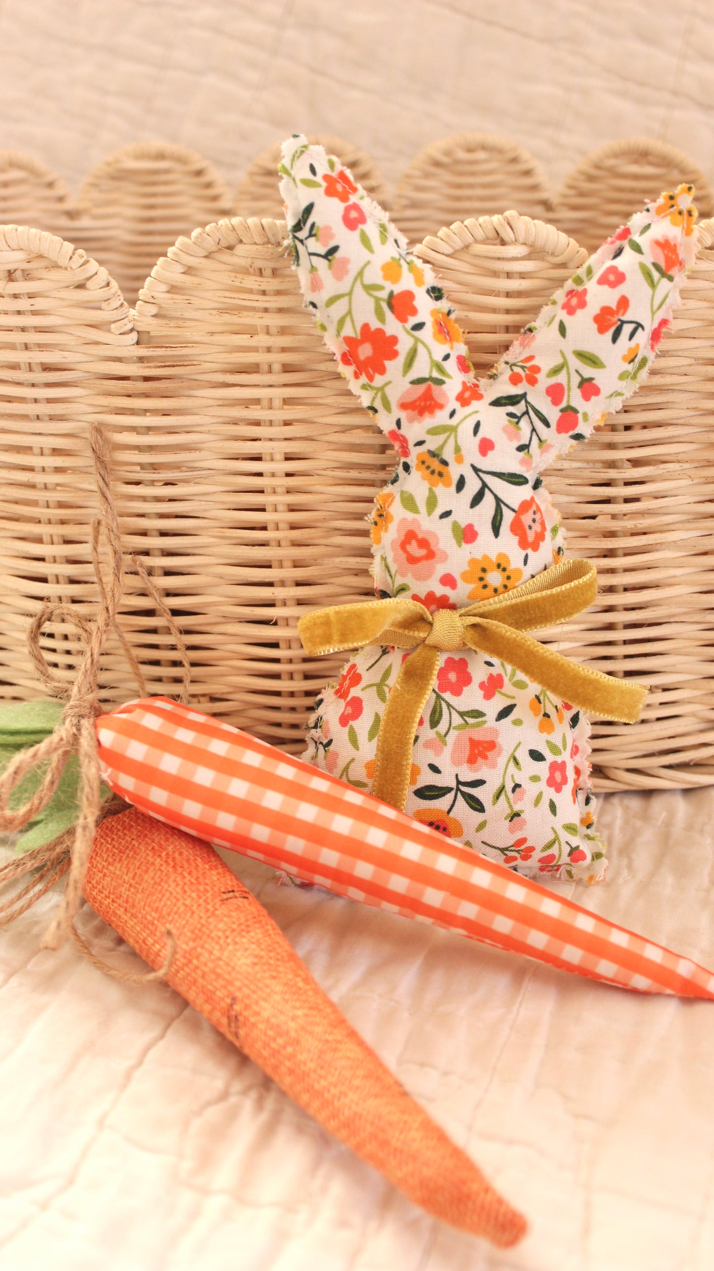 Bunny and Carrots Set